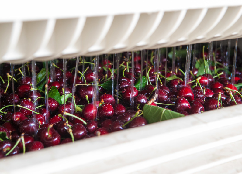 Hydro cooling. Principle of operation. Technology. Application. Incools